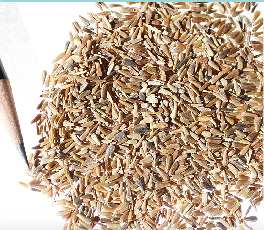 Marde Ross & Company Ostrich Plumed Crego Mix stems yield lasting cut flowers.