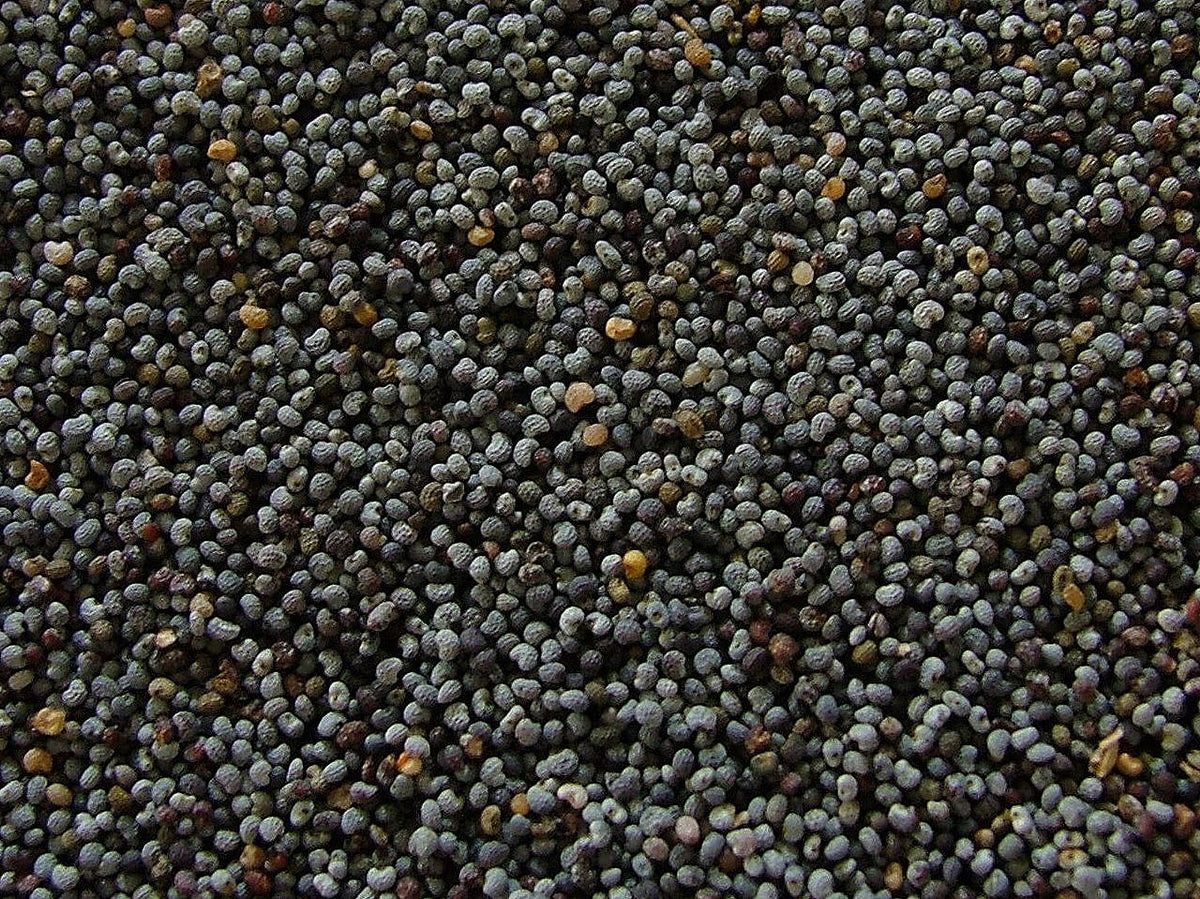 Marde Ross & Co sun-loving poppy seeds ideal for sunny borders