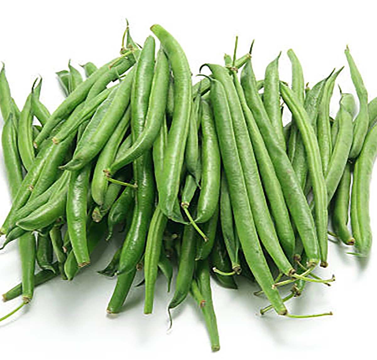 Tenderette beans thriving in a compact container garden.