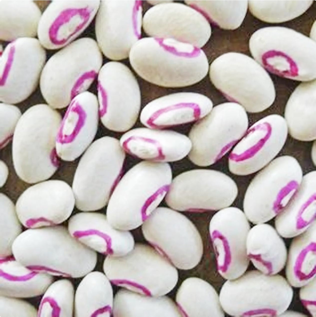 Marde Ross Texas Creme Eyed Peas drying on the vine for later use