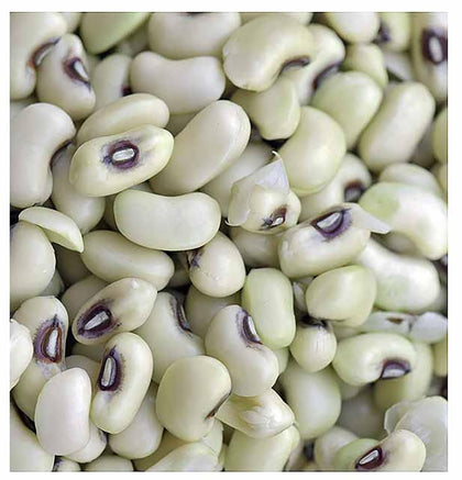 Marde Ross Texas Creme Eyed Peas seeds in packet for home gardening