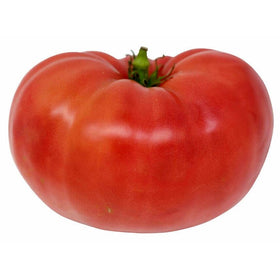 Marde Ross Watermelon Beefsteak seeds outdoor growth in warm season