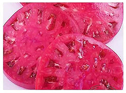 Marde Ross Watermelon Beefsteak seeds pack shot for home gardening