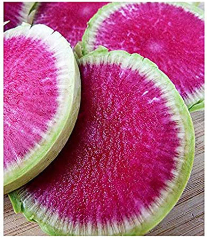 Marde Ross & Company Watermelon Radish seeds pack for home gardens and salads.