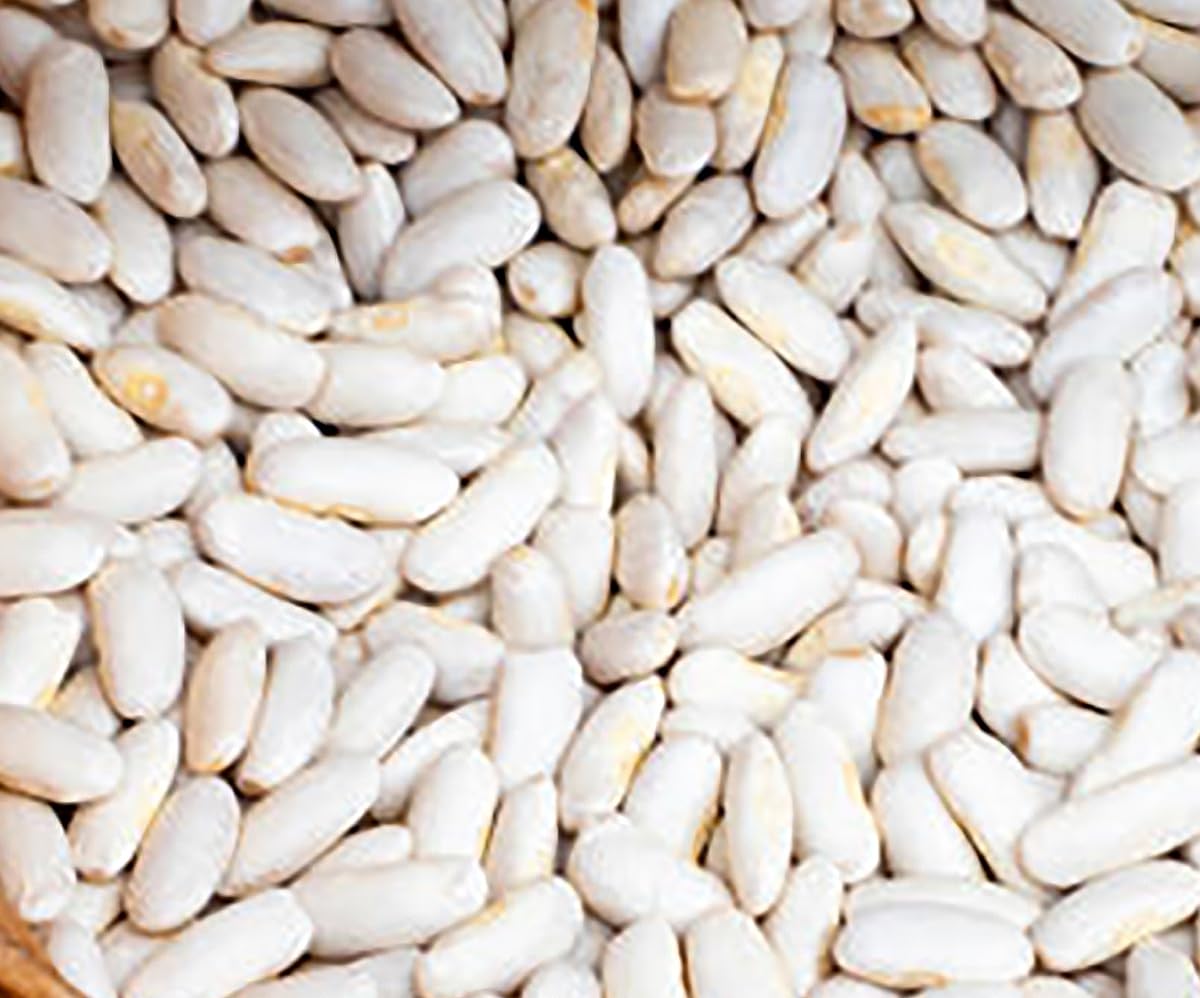 Marde Ross & Company White Great Northern Bean Seeds in a container garden
