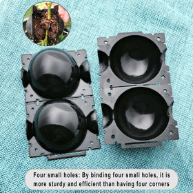 Supports faster rooting for cuttings while protecting mother plant