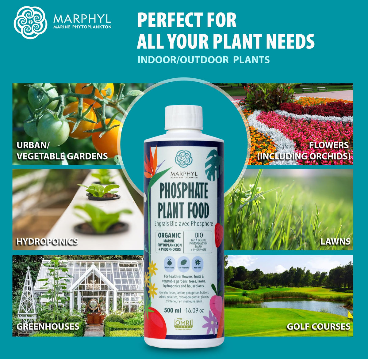 MARPHYL solution in hydroponics fostering robust vegetables