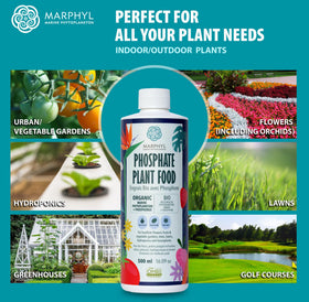 MARPHYL solution in hydroponics fostering robust vegetables