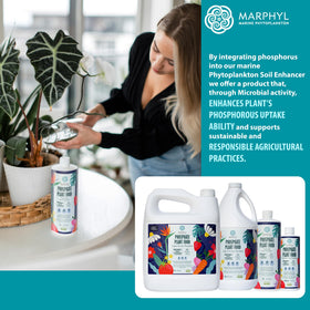 MARPHYL phosphorus fertilizer graphic highlighting strong roots and growth