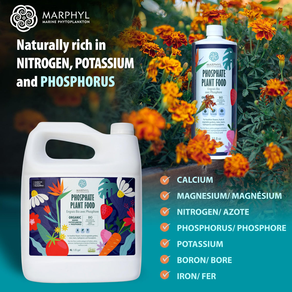 MARPHYL product used on succulents and bamboo for steady growth