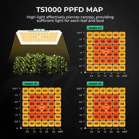 MARS HYDRO carbon-filter-25ft-ducting helps reduce odors during cultivation.