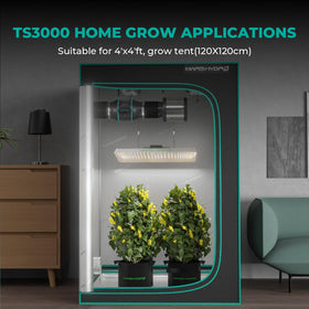 Indoor grow with TS3000 LED light suitable for tents and greenhouses