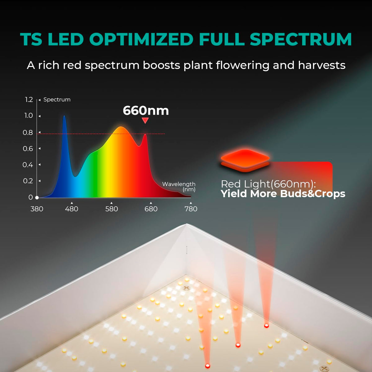 TS3000 full spectrum and spectral balance for veg to bloom