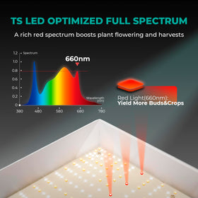 TS3000 full spectrum and spectral balance for veg to bloom