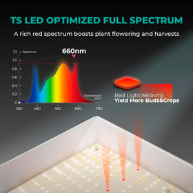 Mars Hydro TSW2000 120-degree reflector increases light utilization and coverage.