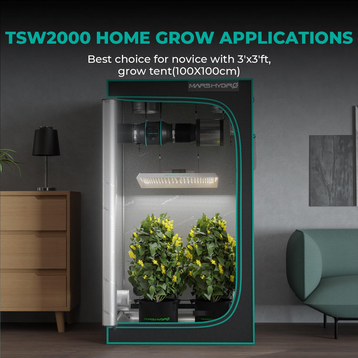 Mars Hydro TSW2000 704-LED array delivers high PAR per watt.