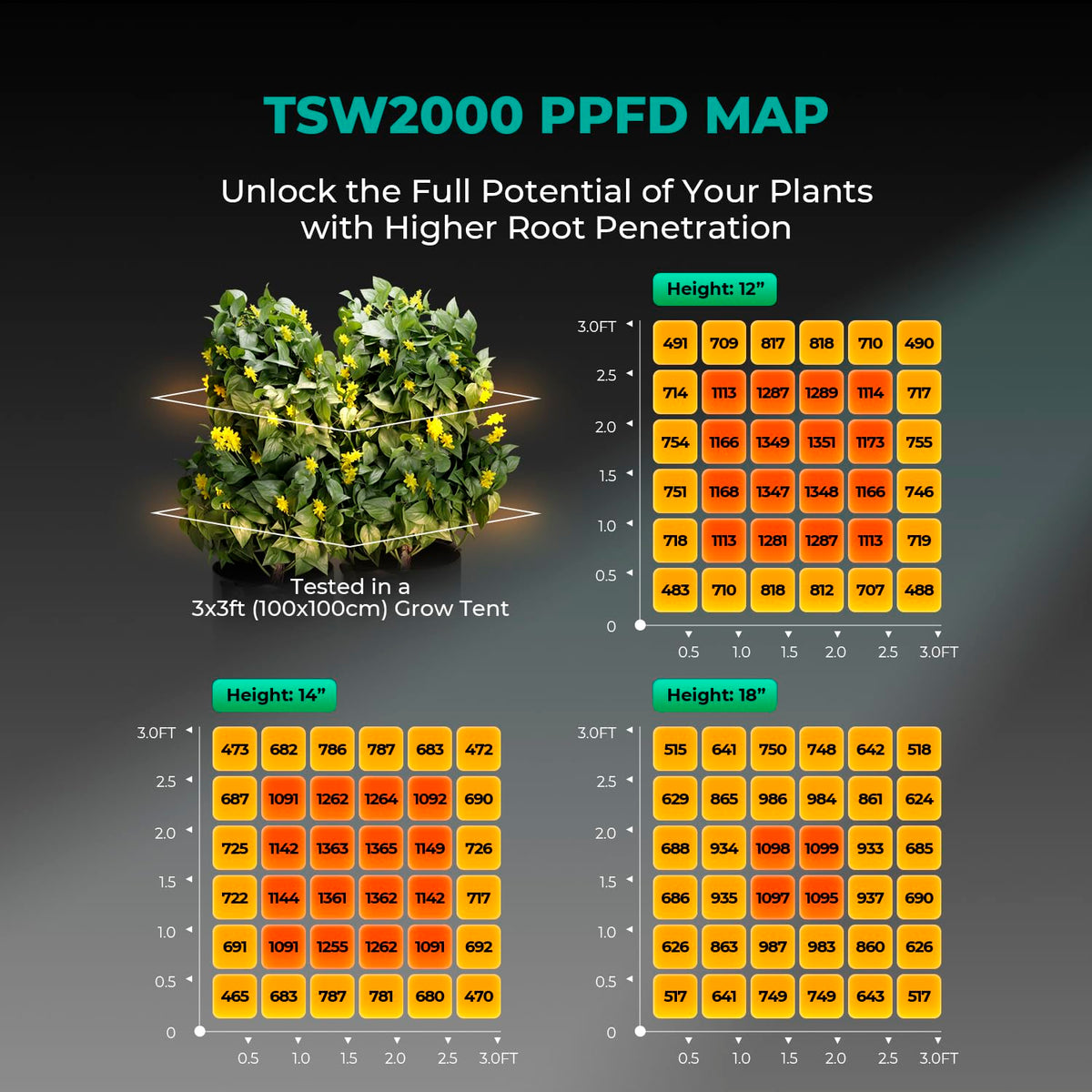 Mars Hydro TSW2000 daisy-chain capability for scalable indoor lighting setups.