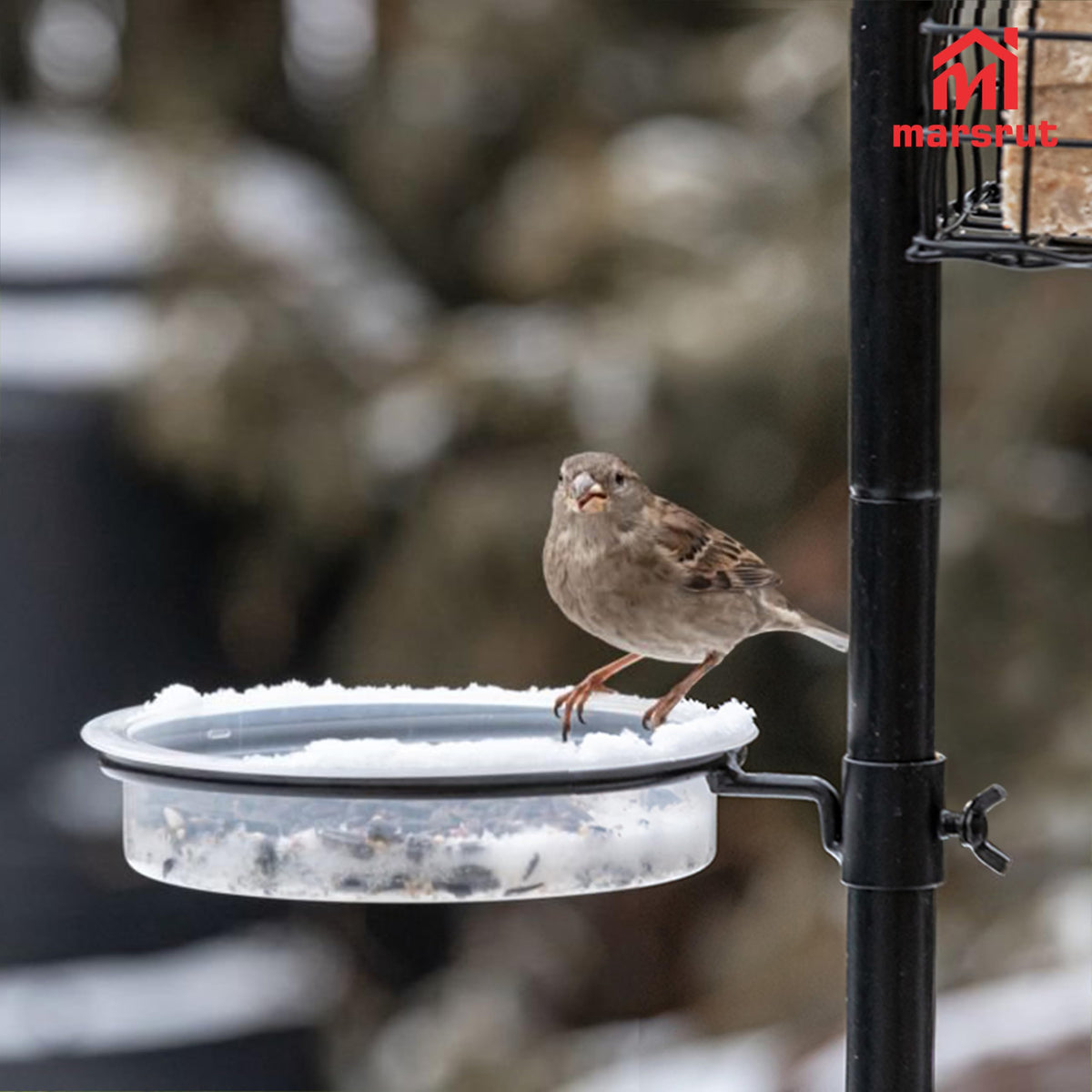 Marsrut seed bath tray application ideal for shallow bird baths.