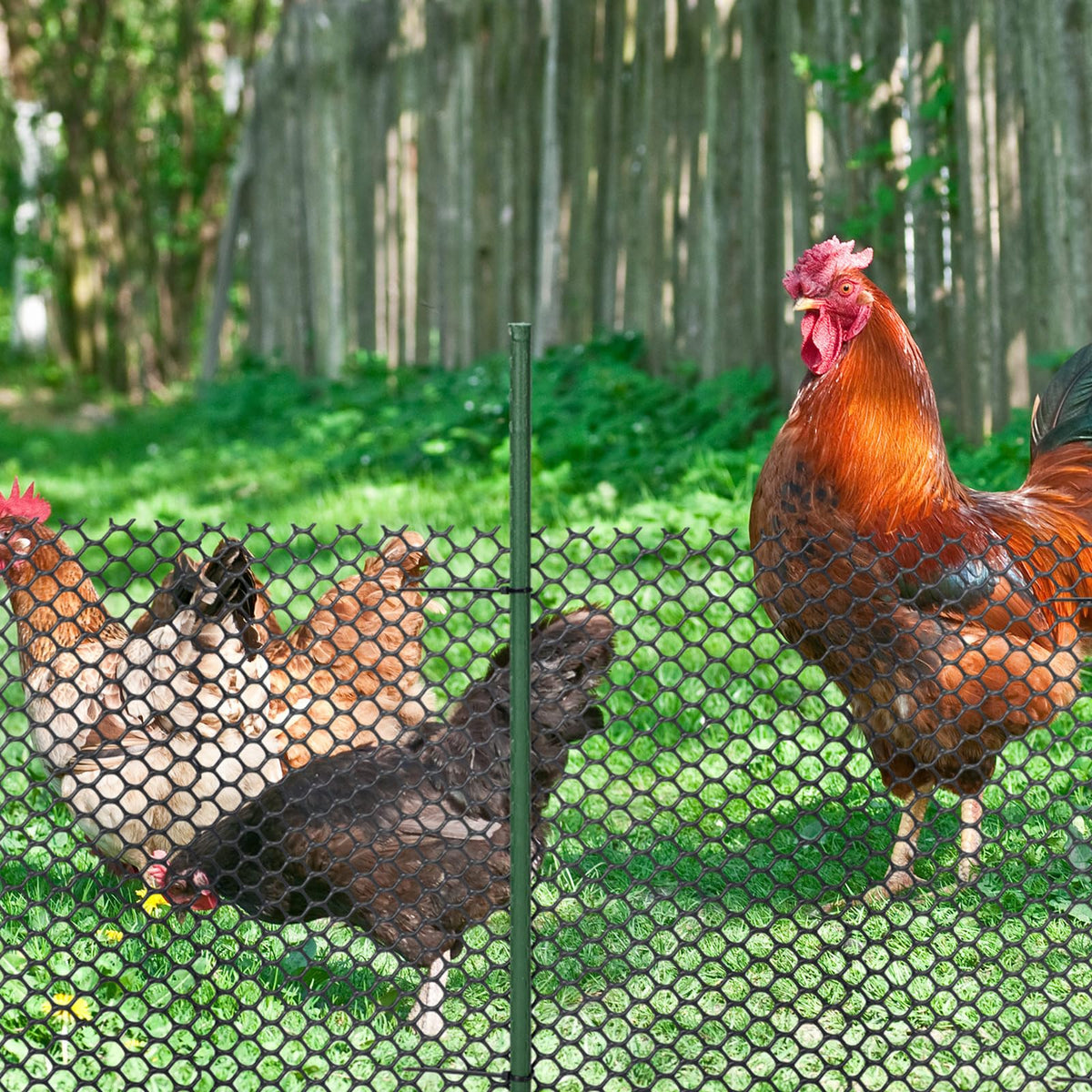 Marsui portable barrier for yards, patios, and outdoor spaces.