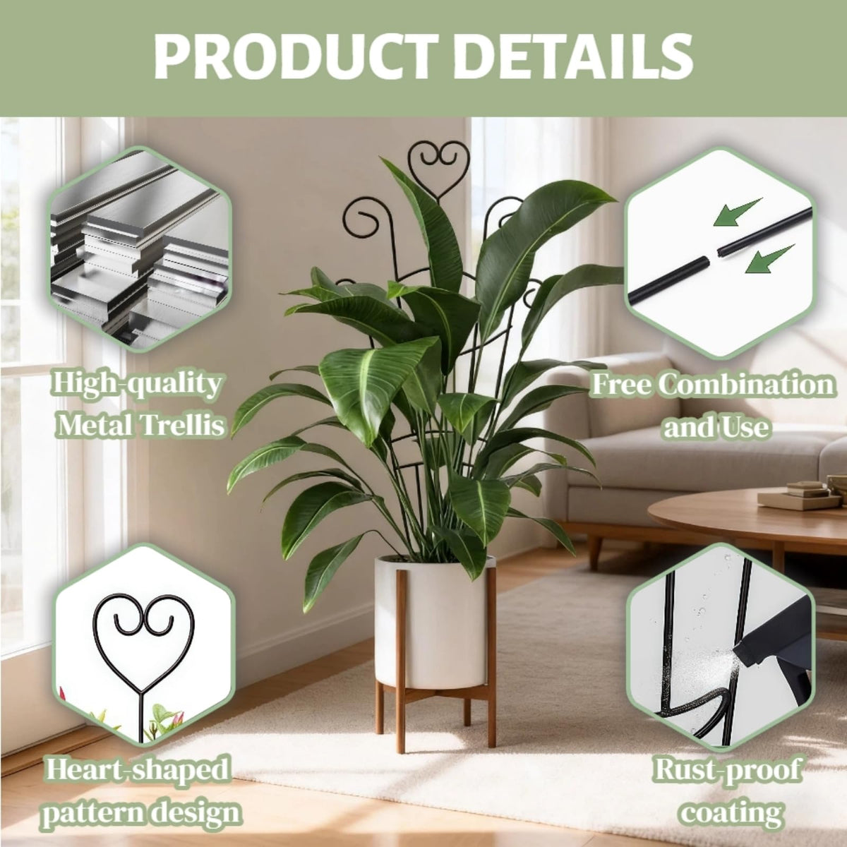 Masstol decorative indoor trellis complements home decor
