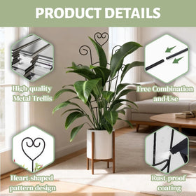 Masstol decorative indoor trellis complements home decor