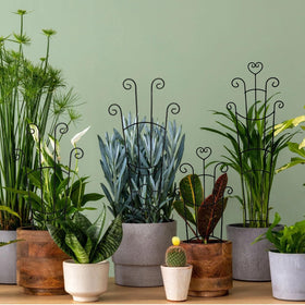 Masstol two-piece trellis expands with plant growth