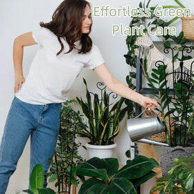 Masstol metal garden trellis offers sturdy support for climbers in pots