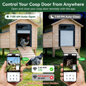 MASTERFUN night vision captures coop surroundings after dark.