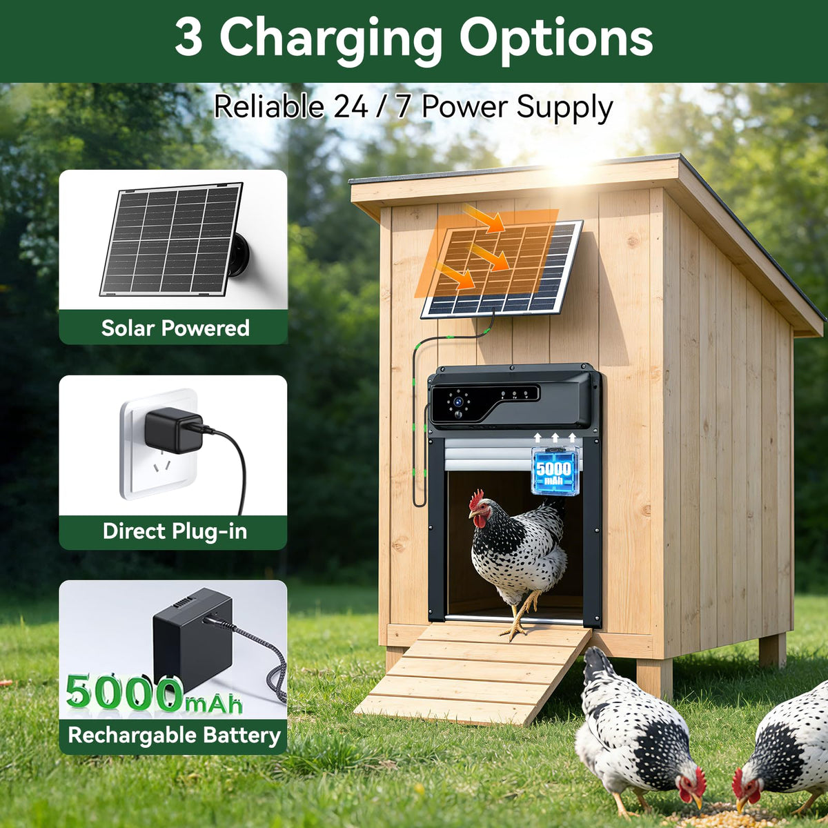 MASTERFUN removable 5000 mAh battery enables indoor charging.