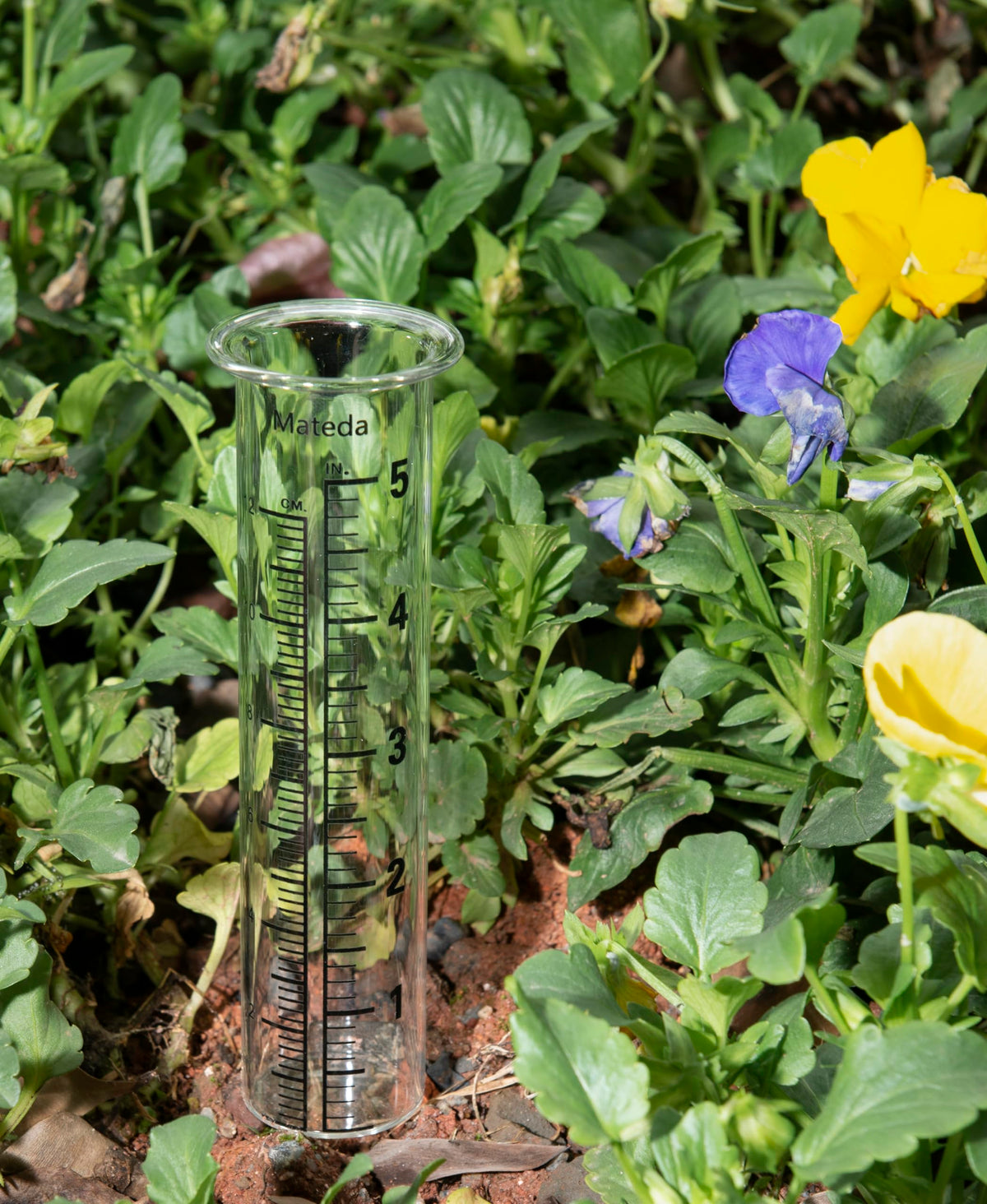 Mateda five-inch capacity rain gauge measures rainfall outdoors