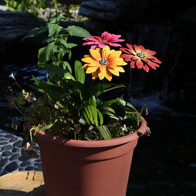 Matlern weatherproof painted flower stake resists rain, snow, and sun.
