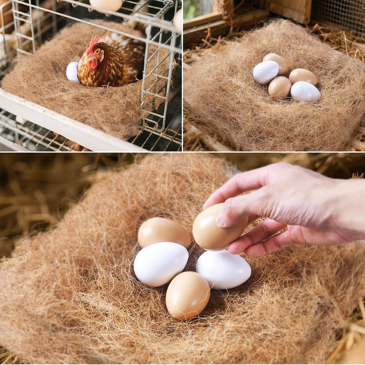 Matutinus coconut palm silk padding provides natural loft for comfy nests.