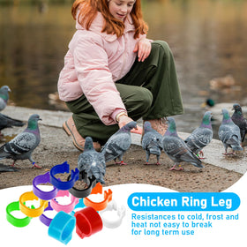 Matwsec clip-on bird ID band enabling fast application.