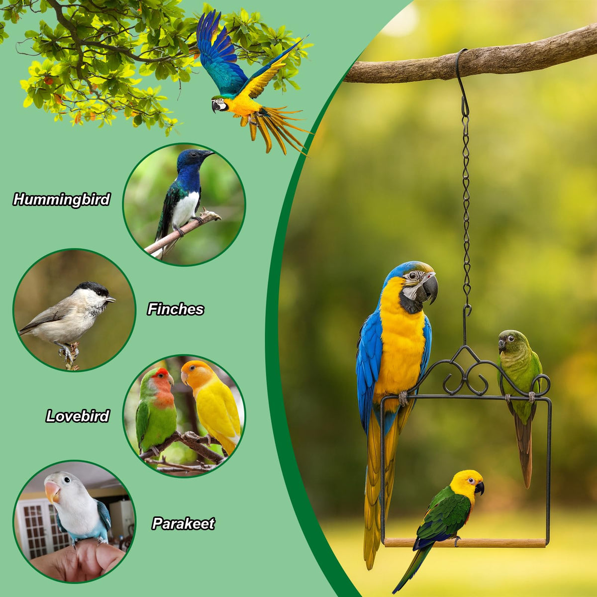 Matwsec hummingbird swing on tree-hanging installation for versatile mounting
