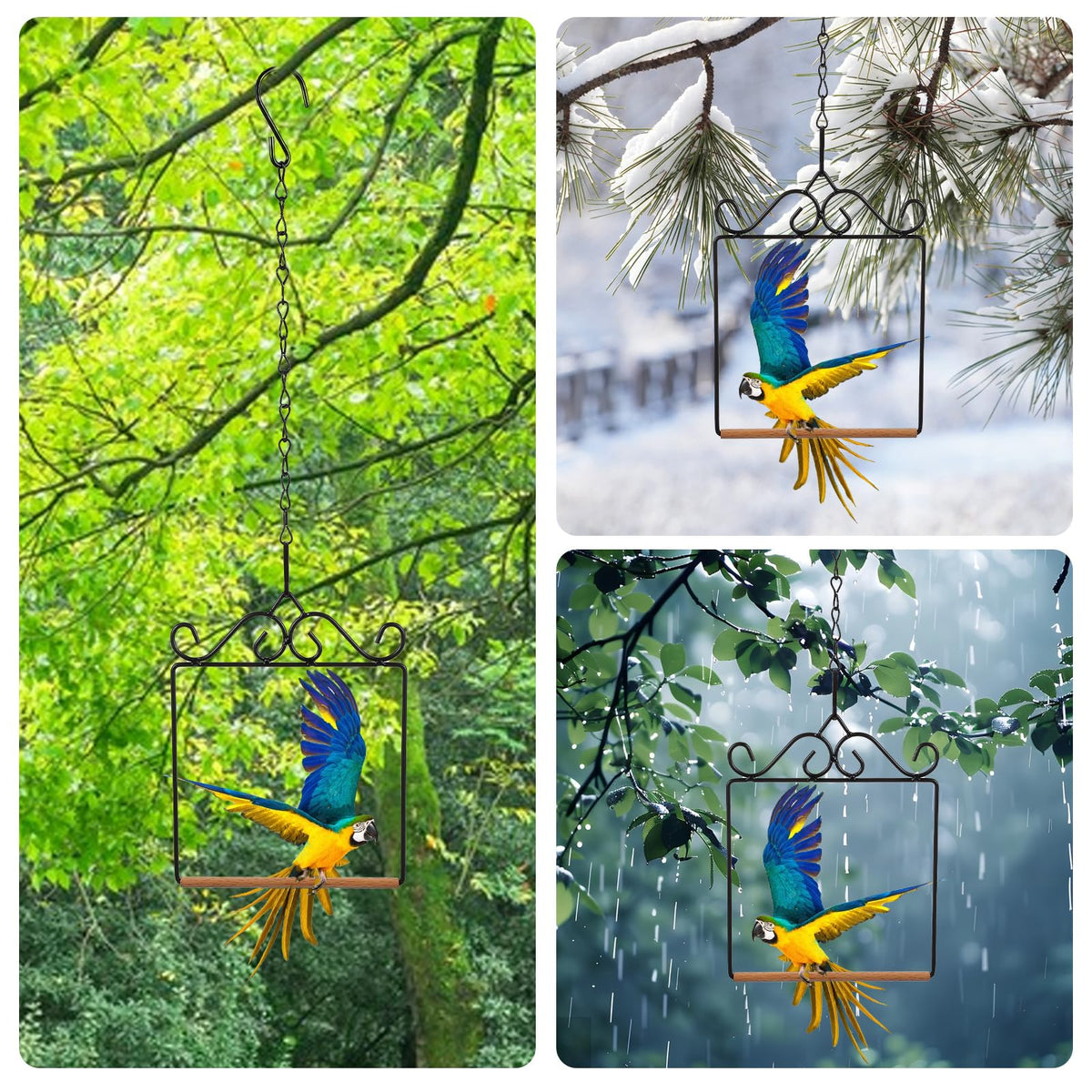 Matwsec hummingbird perch close-up on curved beech wood for secure footing