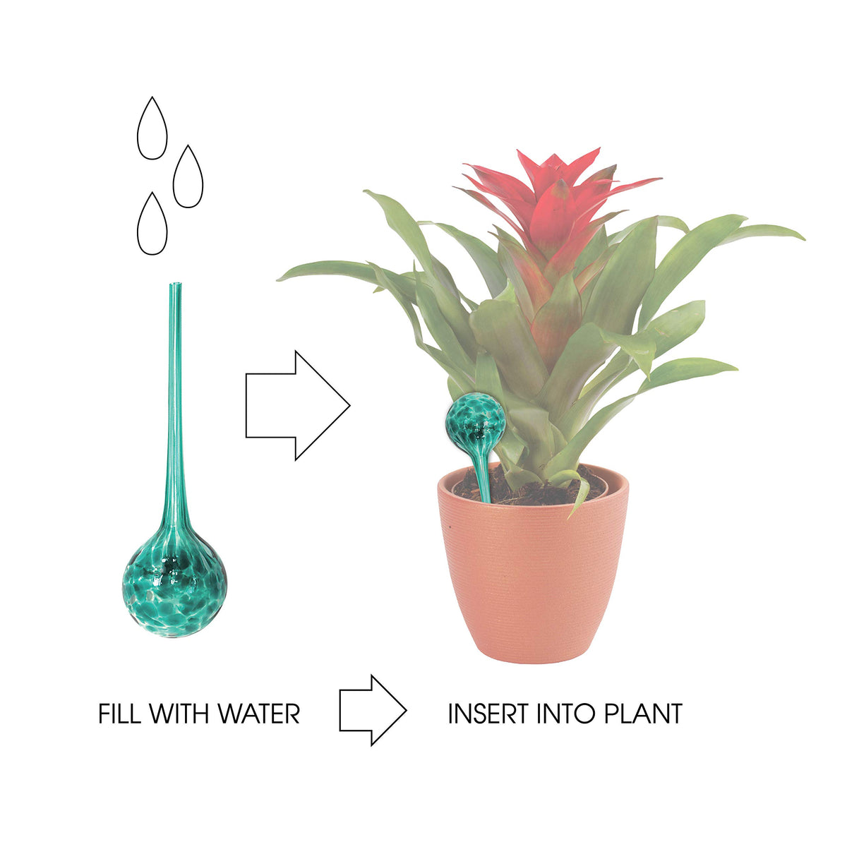 Maxam Wyndham House 12-inch globes deliver steady moisture to potted plants.