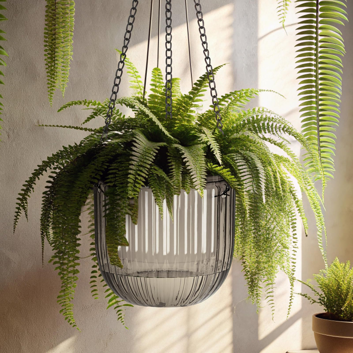 Maxcheck indoor-outdoor hanging planters suitable for versatile spaces