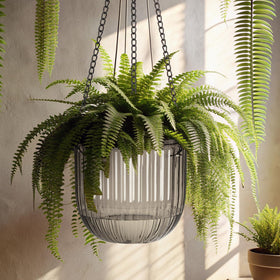 Maxcheck indoor-outdoor hanging planters suitable for versatile spaces