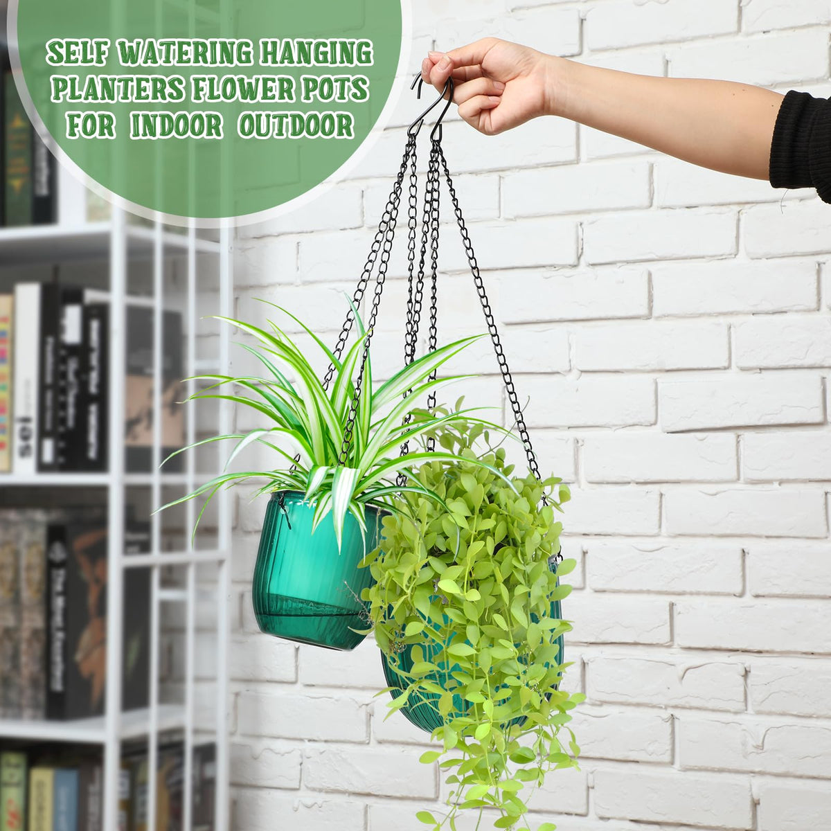 Maxcheck 4.5-inch emerald planter ready for succulents and herbs