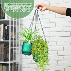 Maxcheck 4.5-inch emerald planter ready for succulents and herbs
