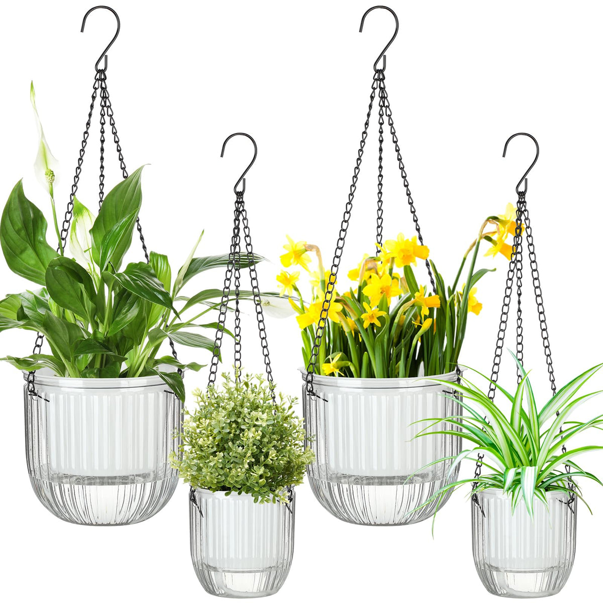 Maxcheck self-watering hanging planter 6.5-inch with water level visibility for easy care.