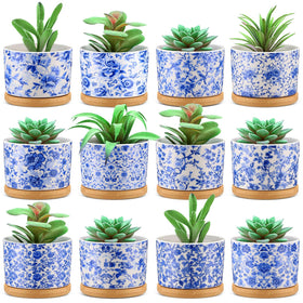 Maxdot chinoiserie succulent pot blue and white with drainage holes for tidy plant displays.