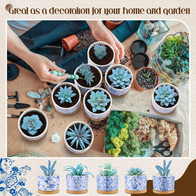 Maxdot indoor plant decor set of six, ideal for desks or small spaces.