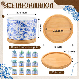 Maxdot succulent pot bamboo tray, complementing pots with water-trap tray to protect surfaces.