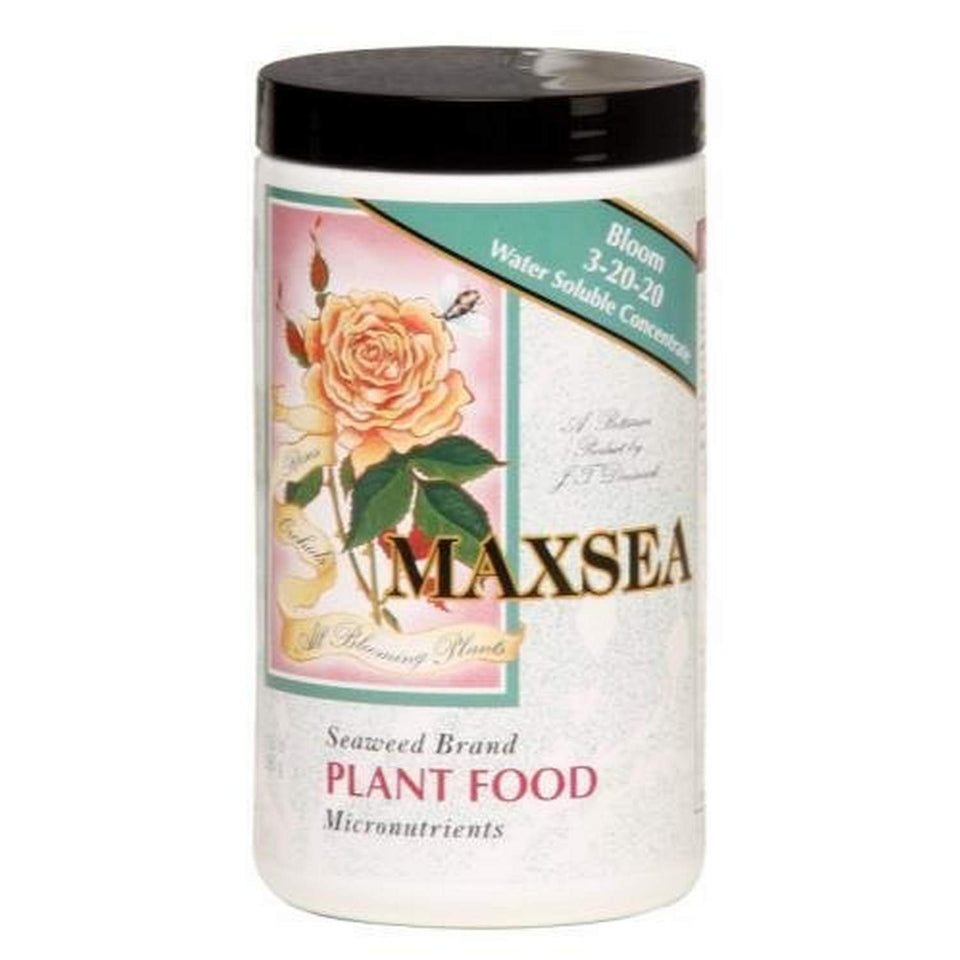 Maxsea Bloom plant food bottle enhances flowering and yields for flowering plants.