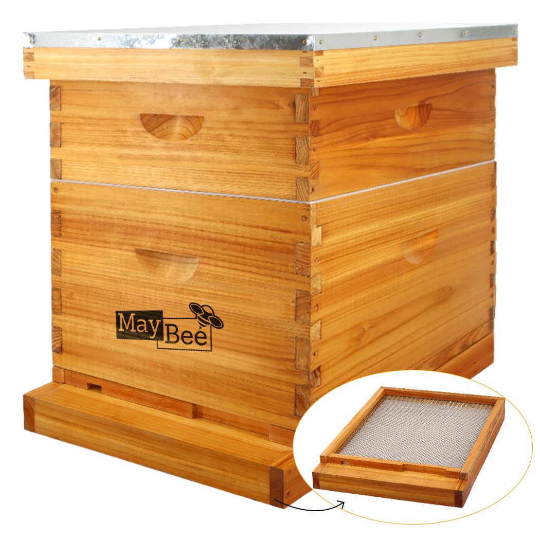 MayBee 10 frame screened bottom board for hive ventilation and airflow
