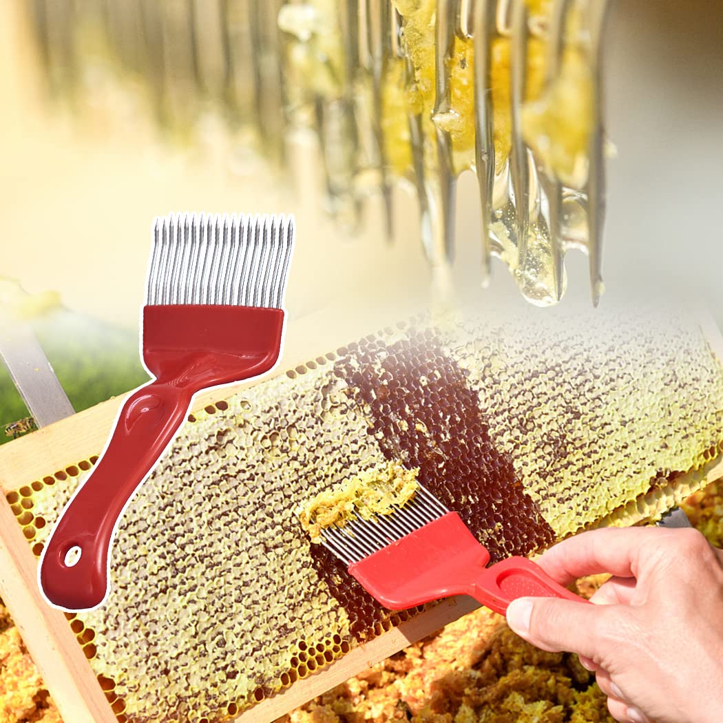 MayBee 5-piece beekeeping kit assembled for beginners and pros.