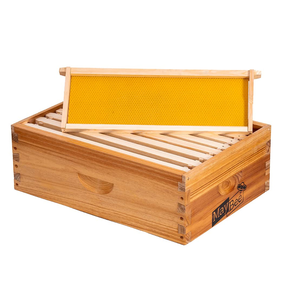 MayBee 8-frame beehive box exterior features durable fir for long-lasting outdoor use.
