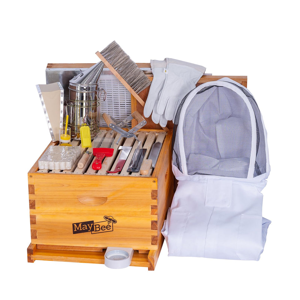 MayBee 8-frame starter kit beeswax-dipped box for durable beginner hive setup.