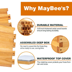 MayBee assembled deep brood box highlighting sturdy cedarwood build and wax finish.